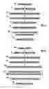 Fig. 14 - Interconnection structure and method of manufacturing the same