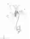 Fig. 09 - Steering system for outboard motor
