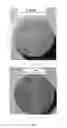 Fig. 02 - BARIUM TITANATE SINGLE CRYSTAL AND PREPARATION METHOD THEREOF