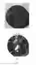 Fig. 06 - BARIUM TITANATE SINGLE CRYSTAL AND PREPARATION METHOD THEREOF