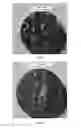 Fig. 08 - BARIUM TITANATE SINGLE CRYSTAL AND PREPARATION METHOD THEREOF
