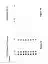 Fig. 13 - Protein chips for HPV detection