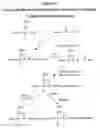 Fig. 03 - Treatment of multiple sclerosis and other autoimmune diseases by use of calpin inhibitors