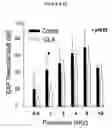 Fig. 13 - Treatment of multiple sclerosis and other autoimmune diseases by use of calpin inhibitors