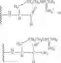 Fig. 19 - Treatment of multiple sclerosis and other autoimmune diseases by use of calpin inhibitors