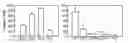 Fig. 01 - Modulation of T cell signaling threshold and T cell sensitivity to antigens