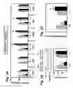 Fig. 03 - Methods for reduction of adipose tissue mass
