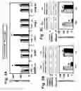 Fig. 04 - Methods for reduction of adipose tissue mass