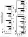 Fig. 06 - Methods for reduction of adipose tissue mass