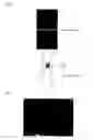 Fig. 04 - Fiber-Treating Agent