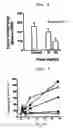Fig. 06 - Molecular Chaperone Function Regulator