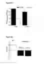 Fig. 09 - Methods and compositions for modulating BK channel activity and vasodilation