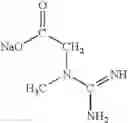 Fig. 07 - Creatine-fatty acids
