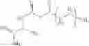 Fig. 08 - Creatine-fatty acids