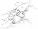 Fig. 01 - Equine dental speculum