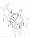 Fig. 02 - Equine dental speculum