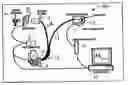 Fig. 01 - OPTICAL MEASUREMENT OF CELLULAR ENERGETICS