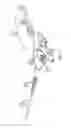 Fig. 06 - Valve System For a Medical Device Having an Inflatable Member