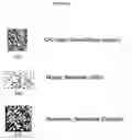 Fig. 07 - Apparatuses, Methods and Systems for Determining and Announcing Proximity Between Trajectories