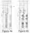 Fig. 06 - Method and apparatus for remote characterization of faults in the vicinity of boreholes