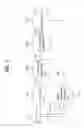 Fig. 08 - Apparatus for encoding and decoding audio signal and method thereof