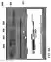Fig. 15 - System and method for electronic processing of default case files
