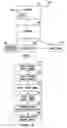 Fig. 02 - Electronic retail order communication