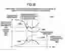 Fig. 23 - CONTENTS MANAGEMENT  METHOD