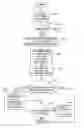 Fig. 01 - Determining authorized use of a software application