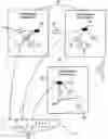 Fig. 01 - System and method for creating and navigating a linear hypermedia resource program