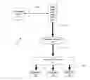 Fig. 01 - Multicast data packet recovery system