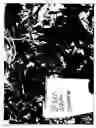 Fig. 05 - Grapevine (Sheegene-15)
