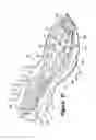Fig. 25 - Article of footwear having a fluid-filled bladder with a reinforcing structure