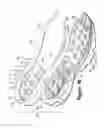Fig. 26 - Article of footwear having a fluid-filled bladder with a reinforcing structure