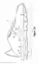 Fig. 28 - Article of footwear having a fluid-filled bladder with a reinforcing structure