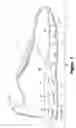 Fig. 02 - Article of footwear having a fluid-filled bladder with a reinforcing structure