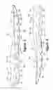 Fig. 08 - Article of footwear having a fluid-filled bladder with a reinforcing structure