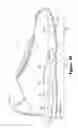 Fig. 46 - Article of footwear having a fluid-filled bladder with a reinforcing structure