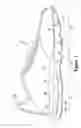 Fig. 02 - Article of footwear having a fluid-filled bladder with a reinforcing structure