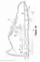 Fig. 28 - Article of footwear having a fluid-filled bladder with a reinforcing structure