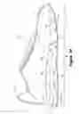 Fig. 46 - Article of footwear having a fluid-filled bladder with a reinforcing structure
