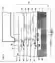 Fig. 06 - SEMICONDUCTOR DEVICE AND METHOD OF FABRICATION THEREOF