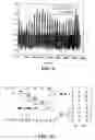 Fig. 07 - Preserving privacy of one-dimensional data streams by perturbing data with noise and using dynamic autocorrelation