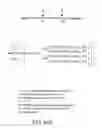 Fig. 197 - Galactosyl nucleotide sugars