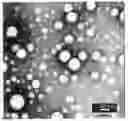 Fig. 01 - Poly (epsilon-caprolactone-co-methylmethacrylate), method for preparing the same using super critical fluid, and method for preparing therapeutic agent for skin diseases such as acne, atopy and athlete's foot comprising the same