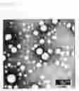 Fig. 02 - Poly (epsilon-caprolactone-co-methylmethacrylate), method for preparing the same using super critical fluid, and method for preparing therapeutic agent for skin diseases such as acne, atopy and athlete's foot comprising the same