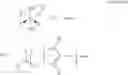 Fig. 19 - Precatalysts useful in polyolefin polymerization reactions