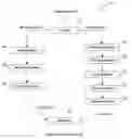 Fig. 01 - Automatic creation of thumbnails for music videos