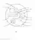 Fig. 02 - SYSTEM AND METHOD FOR A SONDE SENSOR CLEANING SYSTEM