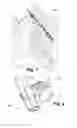 Fig. 02 - Handrail for toddlers